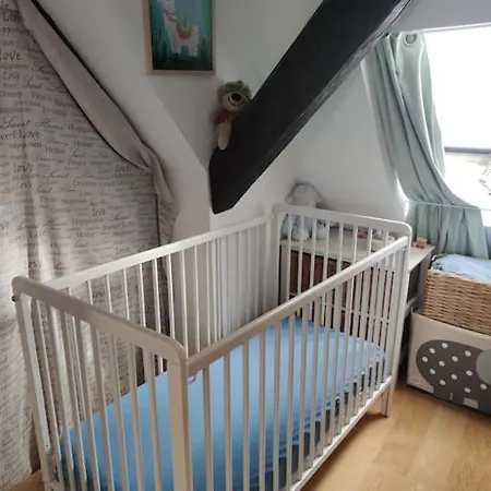 Joli Duplex Hypercentre Lejlighed Strasbourg